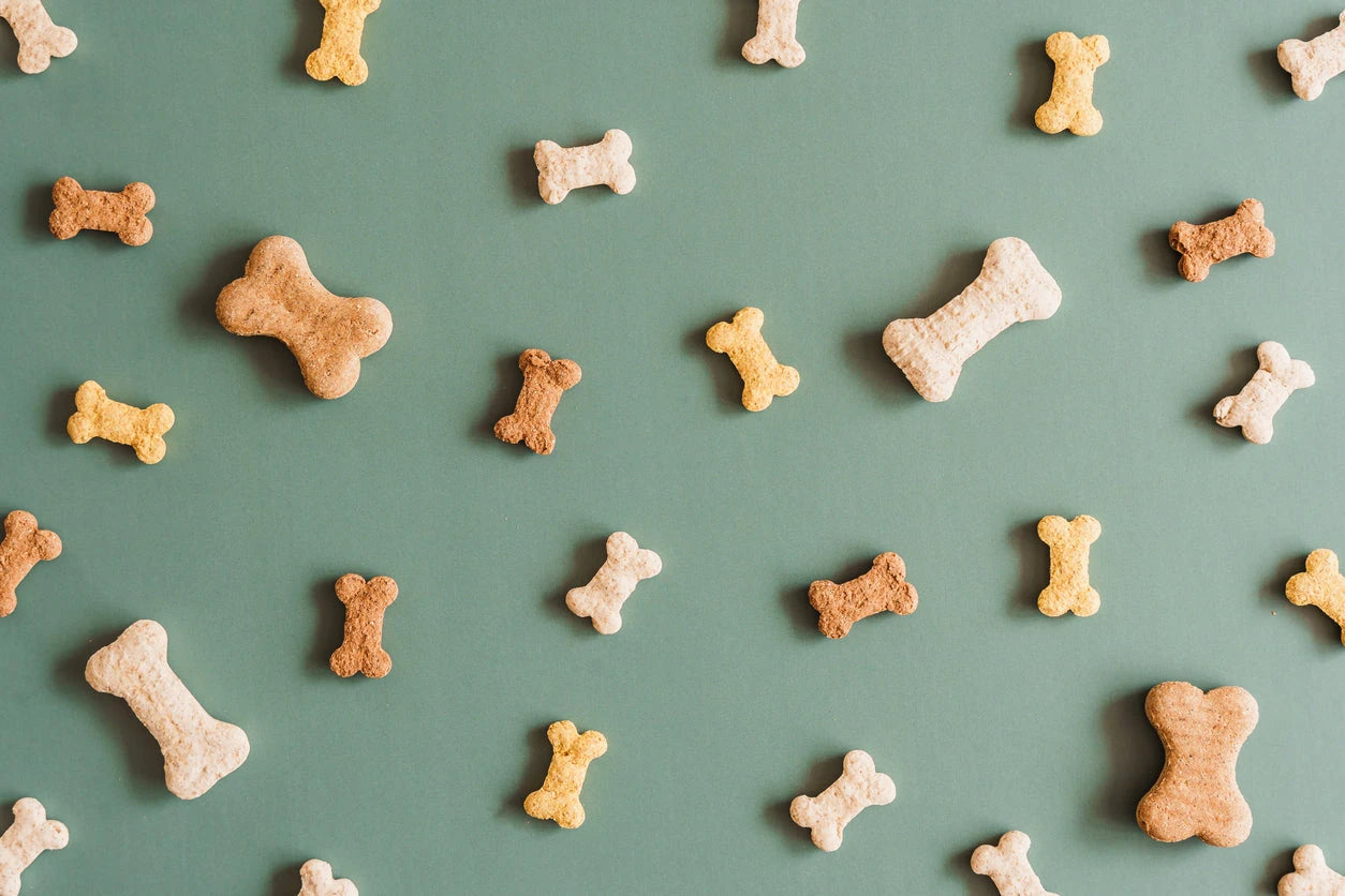 Hundesnacks