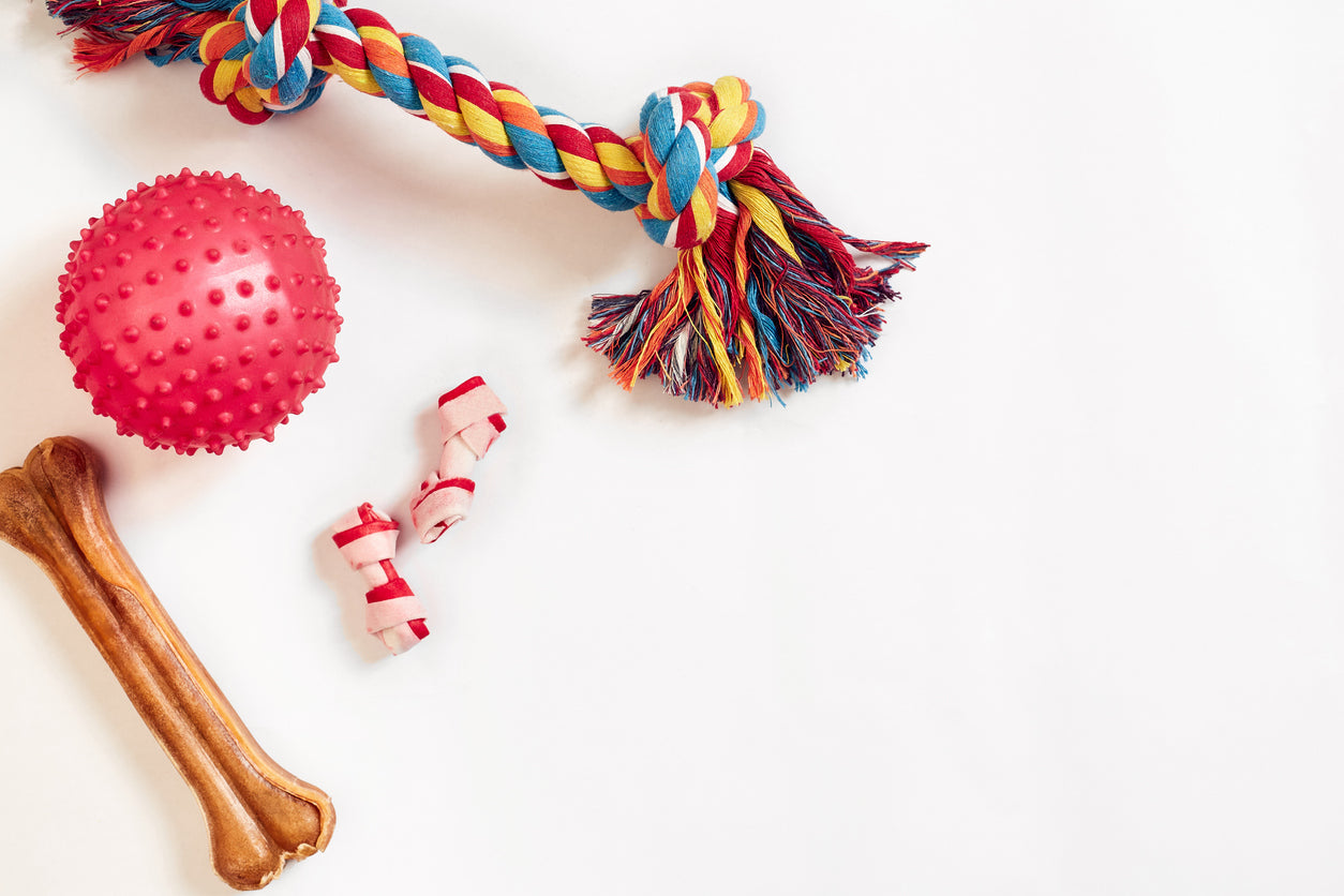 Hundespielzeug & Sport